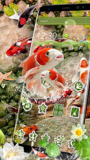 Koi fish themes screenshot 3