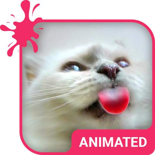 Cat Love Live Wallpaper Theme 5.9.11