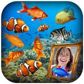 Aquarium Live Wallpaper on 9Apps