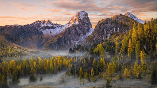 Forest Live Wallpaper screenshot 6