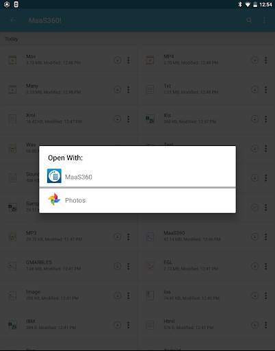 MaaS360 Docs screenshot 3