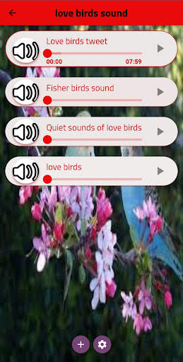 bird sound screenshot 2