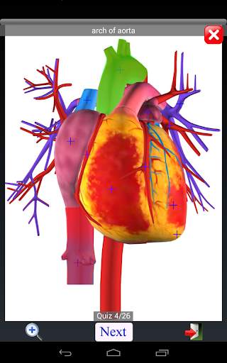 Anatomy Quiz скриншот 13