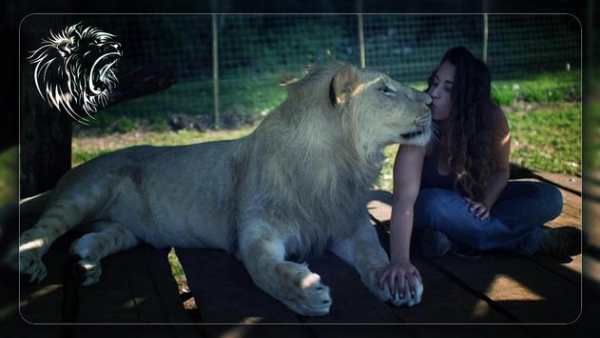 Wild Animal Photo Frame screenshot 2