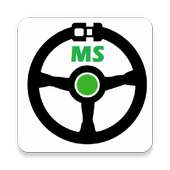 MS Driving Instructor logo
