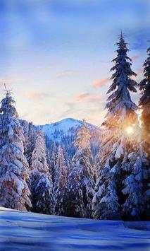 Snow Winter Forest 2015 स्क्रीनशॉट 2