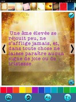 Citations triste cœur brisé скриншот 11