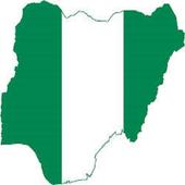 Daily Naija News icon