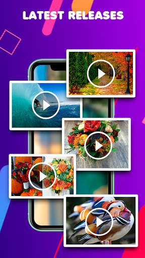 Amazing Videos Fusion screenshot 3