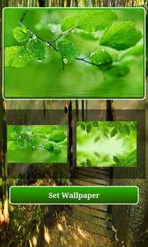 Natural wallpaper HD screenshot 2