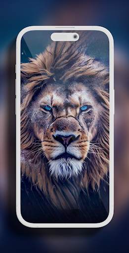 Lion Wallpaper screenshot 5