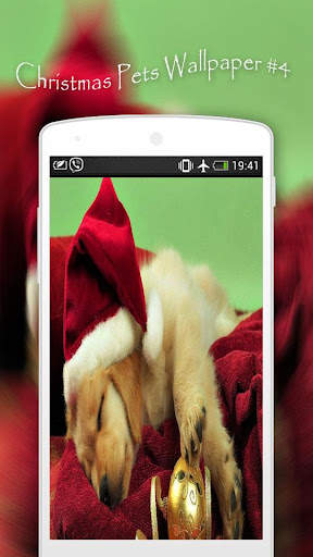 Christmas Pets Wallpapers screenshot 5