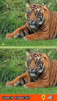 What's the Difference Between the Two Pictures screenshot 4
