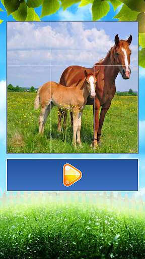 Animals World Tile Puzzle screenshot 5
