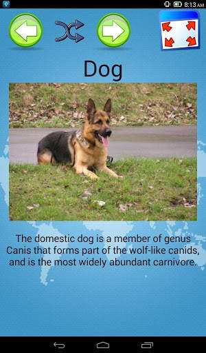 Animals Quiz & Infos скриншот 5