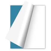 Flipbook icon