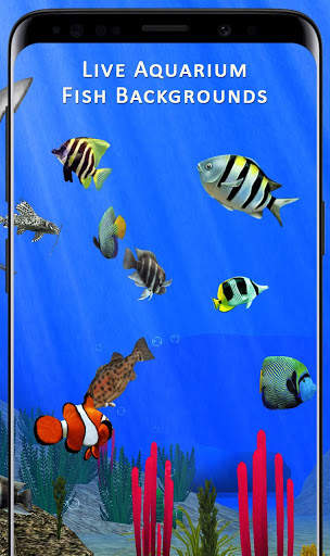 Fish Aquarium Backgrounds HD Live Wallpapers Free screenshot 3
