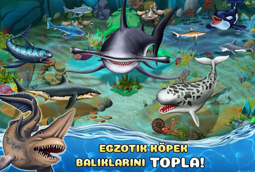 Shark World screenshot 3