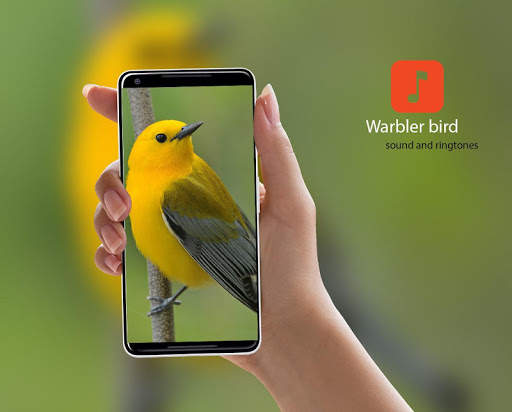 Warbler bird Ringtones screenshot 1