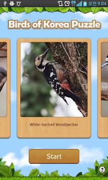 Birds of Korea Game screenshot 1