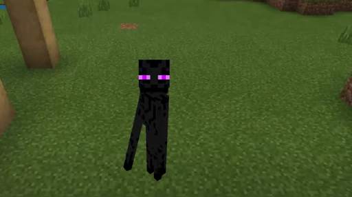 😲morph mod for minecraft pe screenshot 3