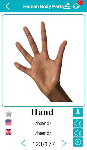 Body Parts Name and Pictures screenshot 3