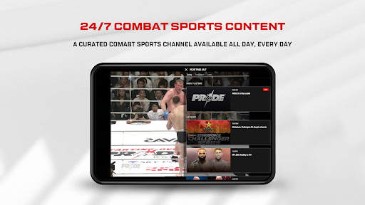 UFC screenshot 9