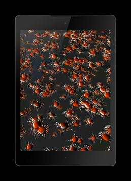 Crabs 3D Wallpaper screenshot 3