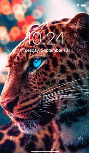 Offline HD Wallpaper screenshot 4