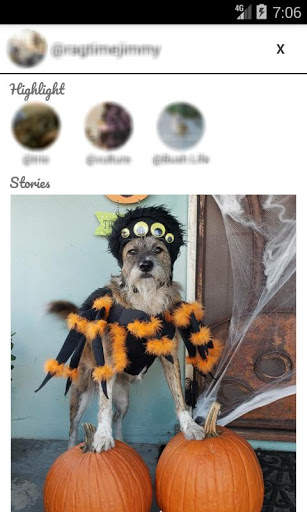 StorySaver - Instagram Story Highlight Downloader screenshot 8