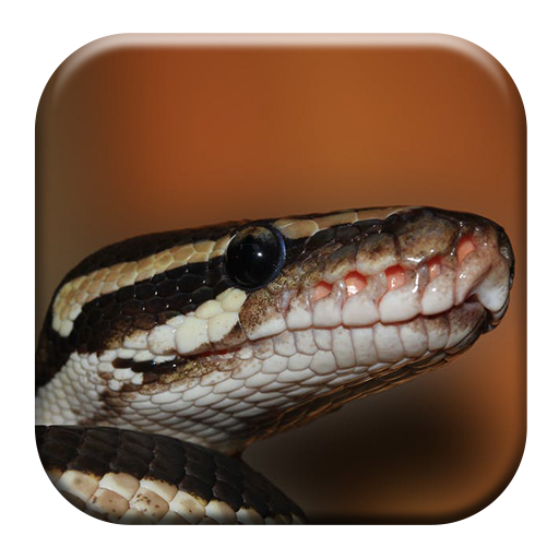 Snake Sounds icon