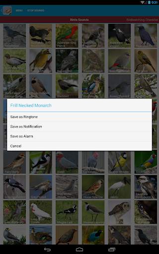 Australian Birds Sounds Free स्क्रीनशॉट 23