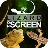 Lizard on Phone Screen: Funny Animation 1.3