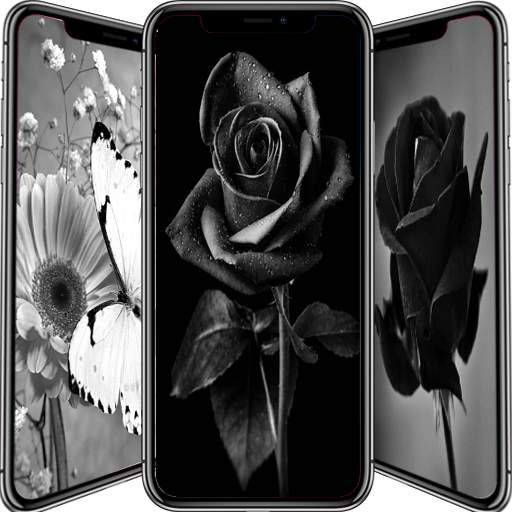 Black Flowers Wallpaper 18.04.21