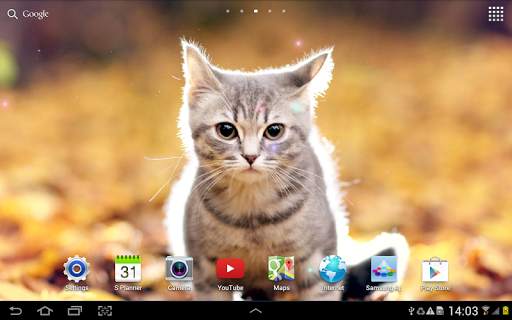 Cat Live Wallpaper screenshot 10