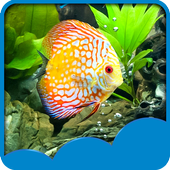 aquarium live wallpapers icon