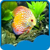 Aquarium Live Wallpapers 1.6