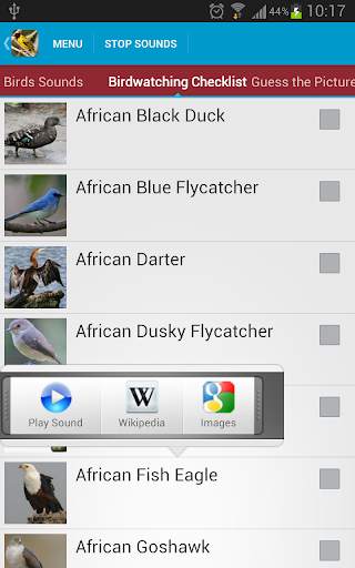 African Birds Sounds Free screenshot 3