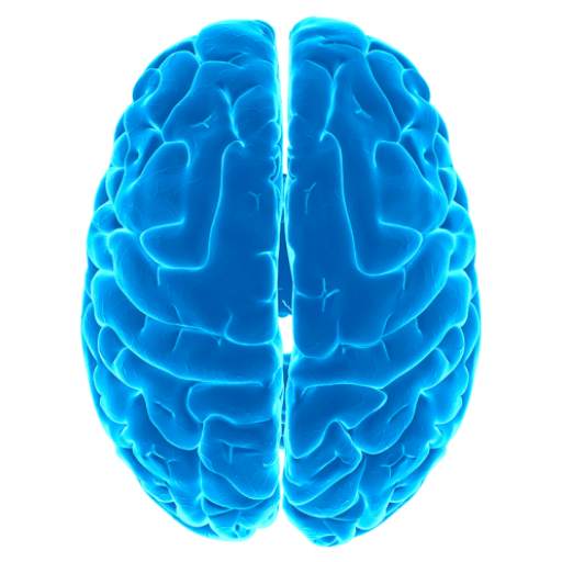 Logische test - IQ 11.17