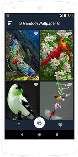 Beauty Birds Wallpaper स्क्रीनशॉट 2