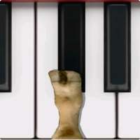 Cow Piano