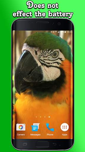 Parrot Live Wallpaper screenshot 4
