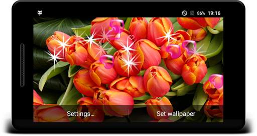 Tulip Live Wallpapers - Screen Lock, Sensor, Auto screenshot 6