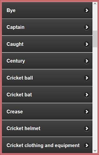 Cricket Language &Terminology screenshot 2