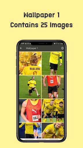Haaland 2021 || Wallpaper, WhatsApp Sticker, Video screenshot 2