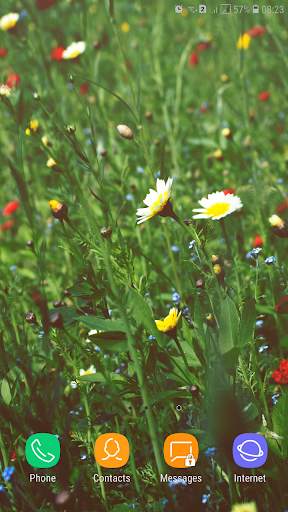 Spring Wallpaper screenshot 15