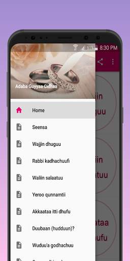Adaba Guyyaa Cidhaa screenshot 3