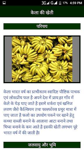 Kheti badi ki jaankari (खेती) screenshot 3