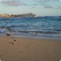 Beach Waves Live Wallpaper HD logo