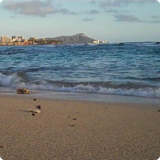 Beach Waves Live Wallpaper HD 4.0